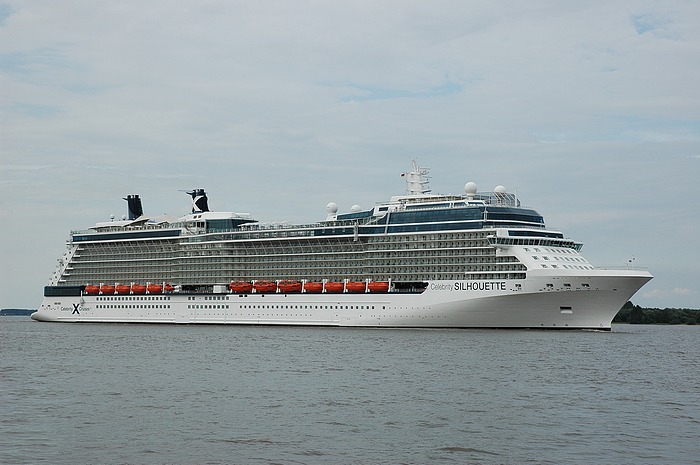 Celebrity Silhouette