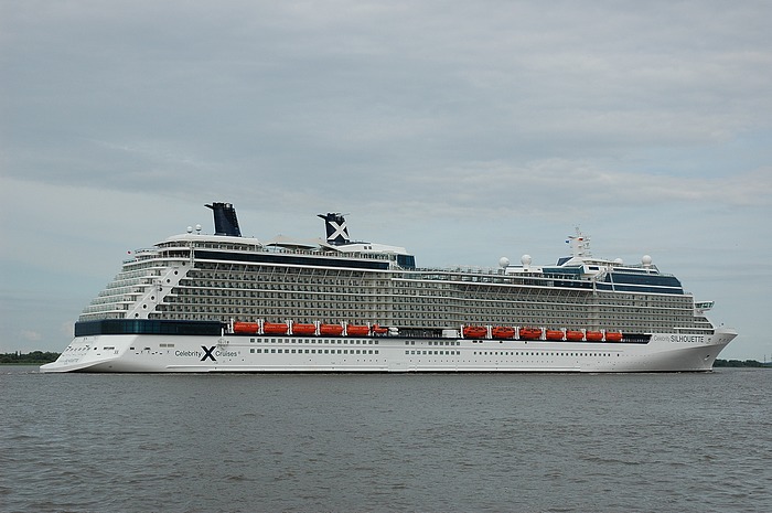 Celebrity Silhouette