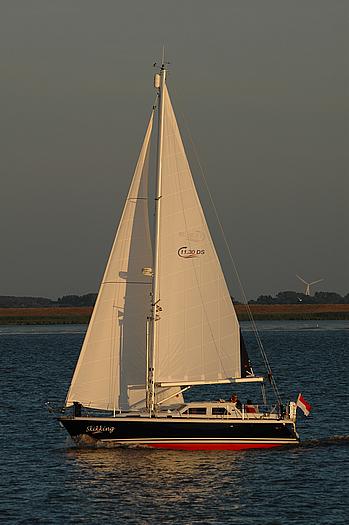 Segler auf der Elbe