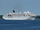 Amadea